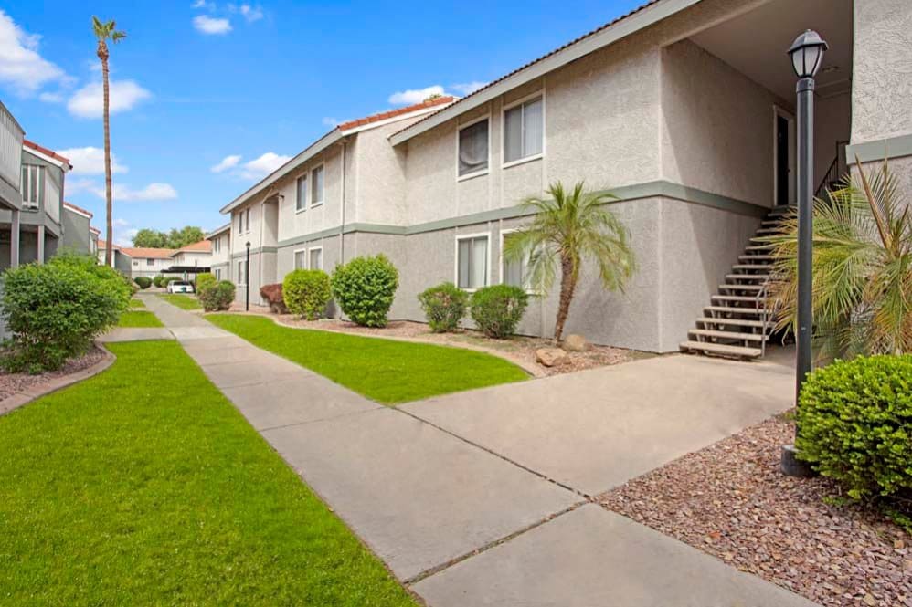 A serene walking path lined with palm trees and greenery, creating a peaceful outdoor space for residents to enjoy at 505 West apartments.