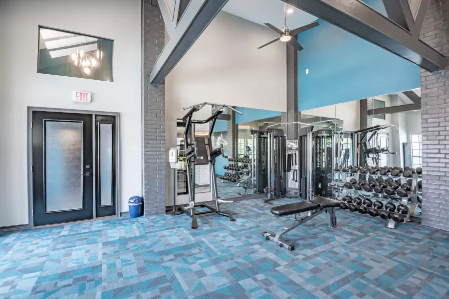 Modern gym with blue patterned carpet, weight machines, a dumbbell rack, and high ceilings.