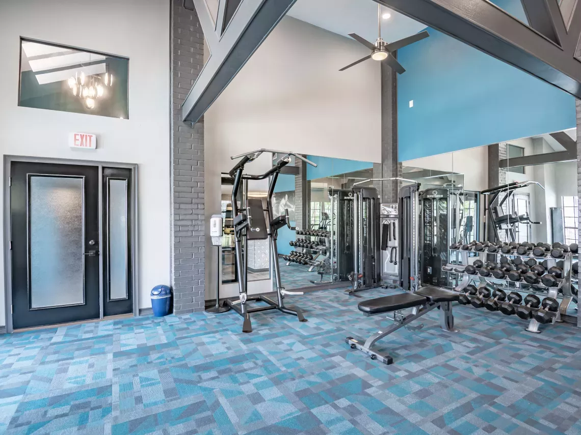 Modern gym with blue patterned carpet, weight machines, a dumbbell rack, and high ceilings.