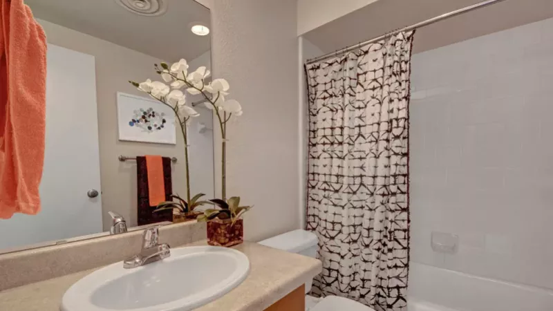 A functional bathroom with modern fixtures and decorative touches.
