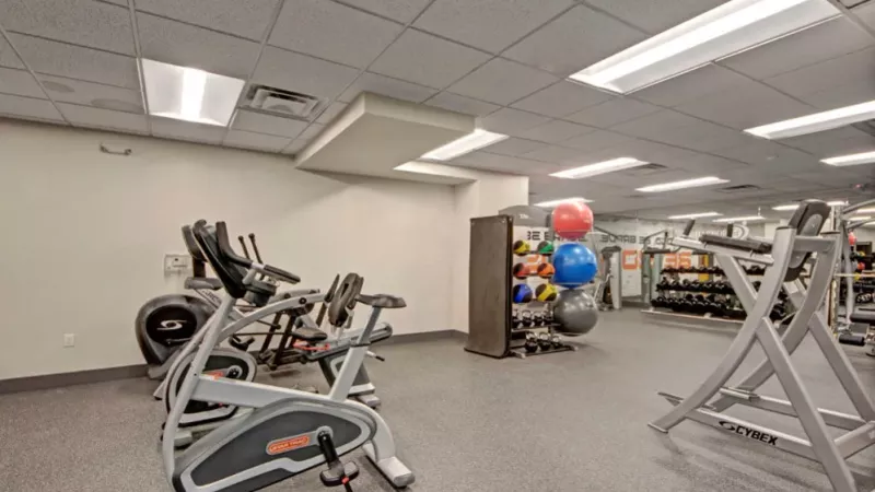 A gym area showcasing a variety of workout machines and vibrant exercise balls for an energizing workout.
