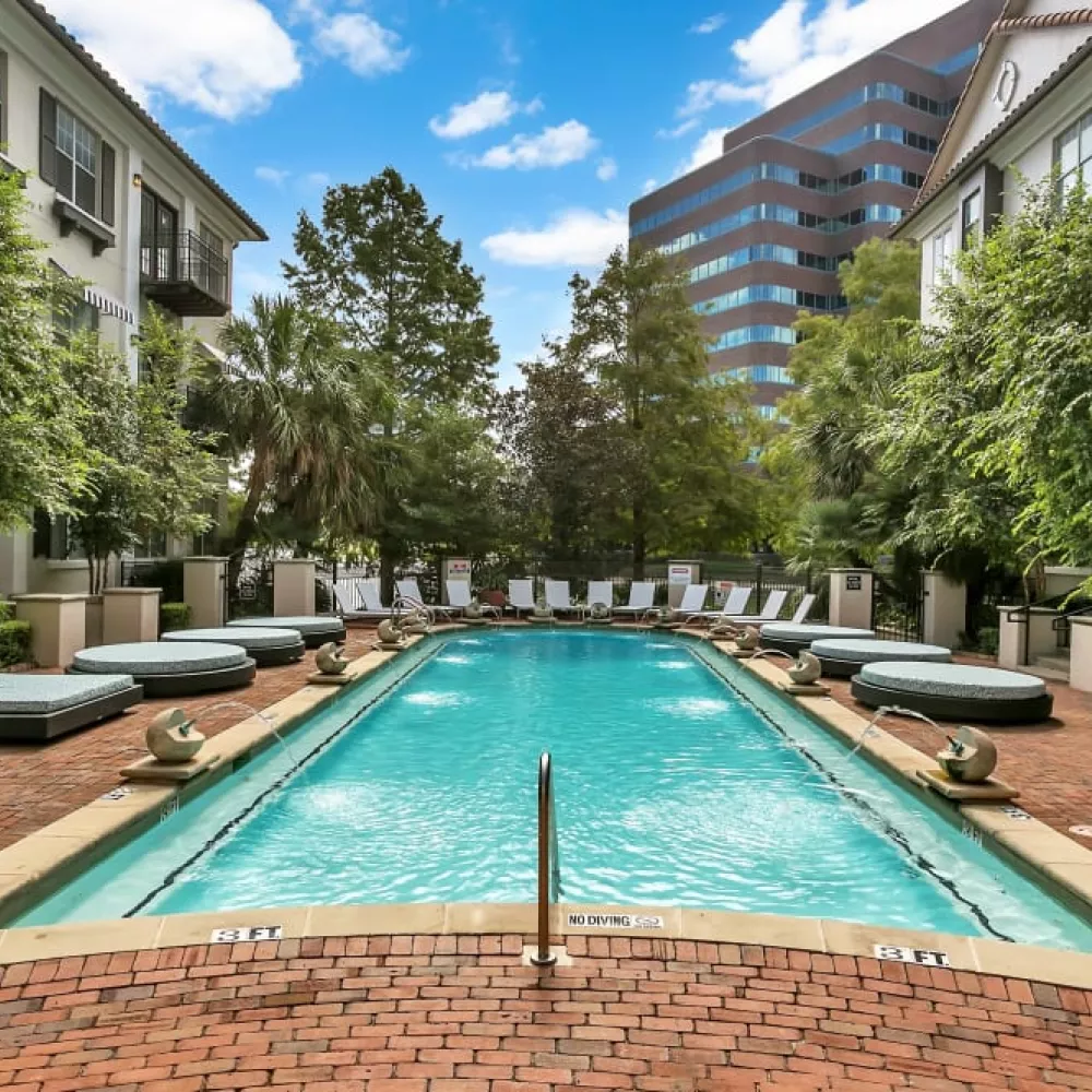 Rectangular pool with cushioned loungers, vibrant landscaping, and modern apartments in the background.