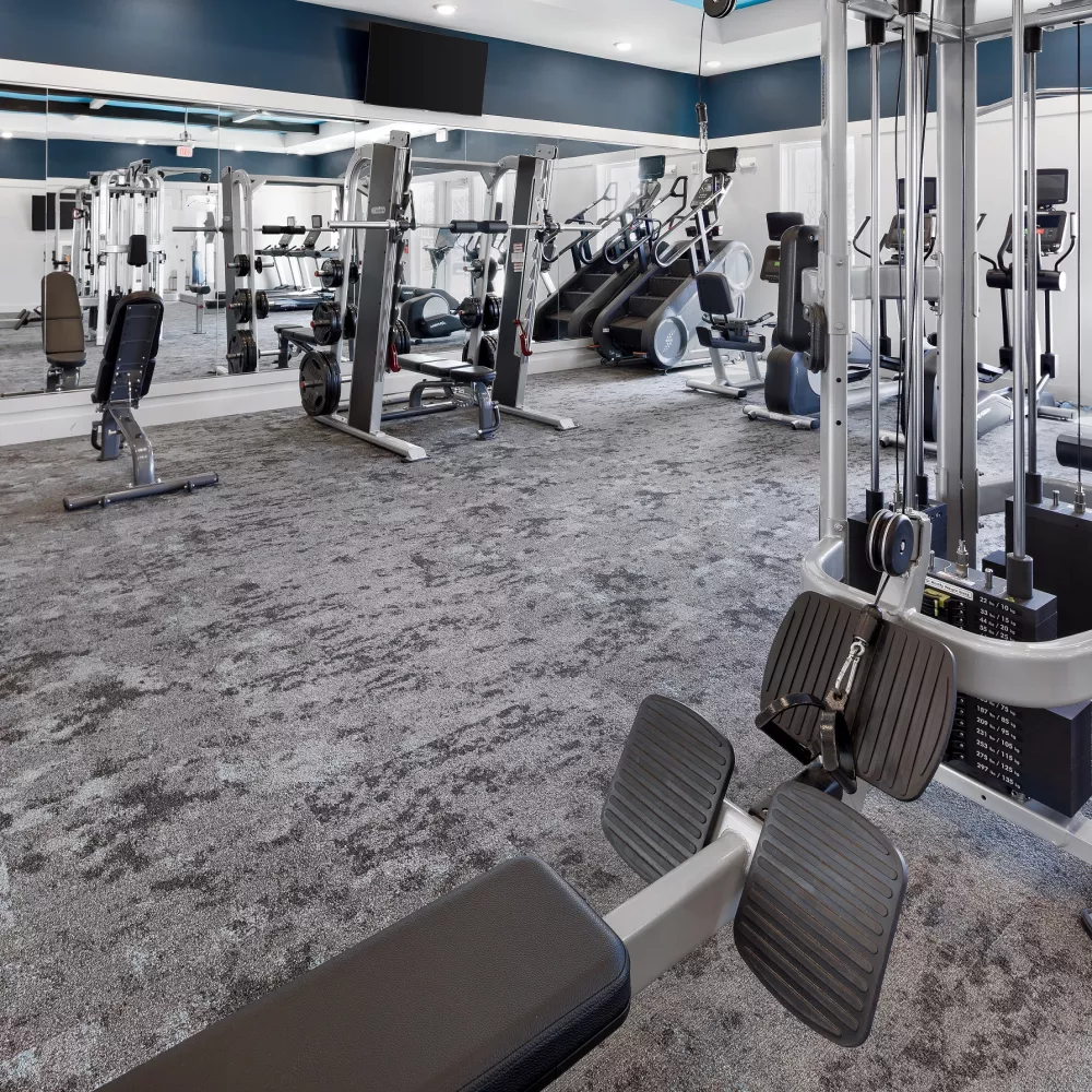 Modern, well-equipped gym with weight machines, free weights, and treadmills on grey patterned carpet.