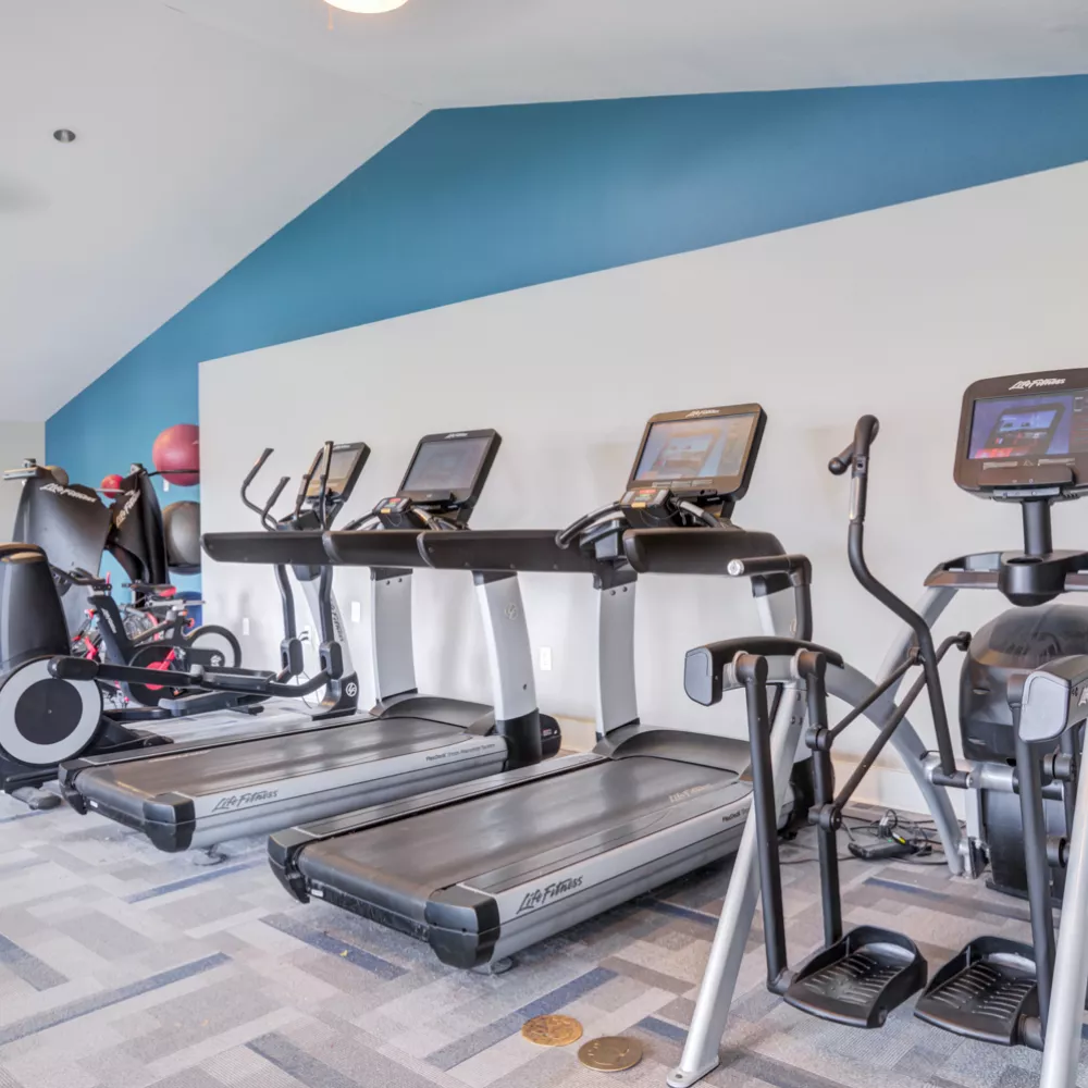 Modern gym with treadmills, elliptical, and weight rack. White walls feature a diagonal blue accent stripe.