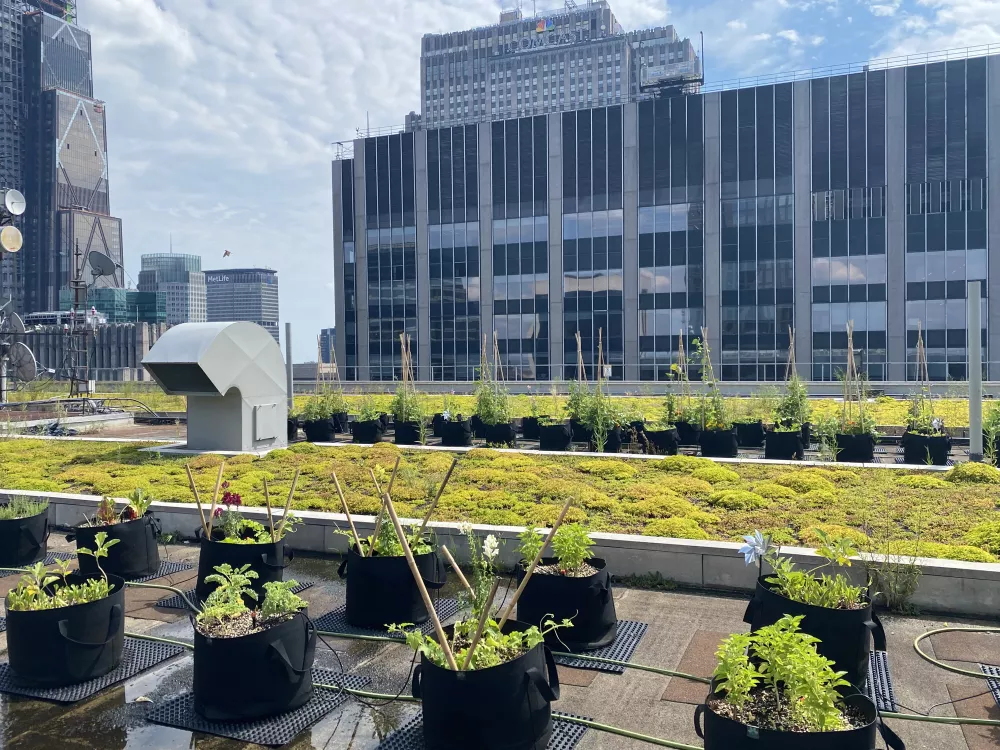 Sustainability